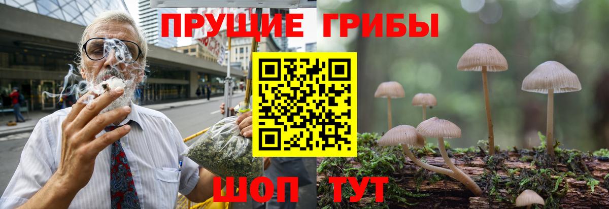 Галлюциногенные грибы прущие грибы Кондопога